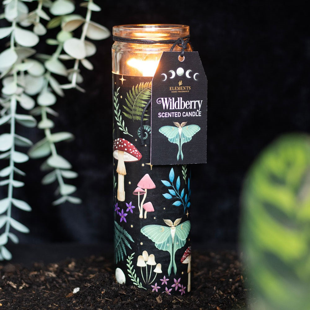 Midnight Forest Wildberry Tube Candle