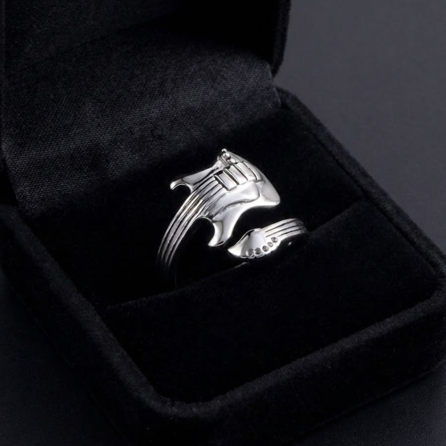 Stainless Steel Wrap Around Guitar Ring