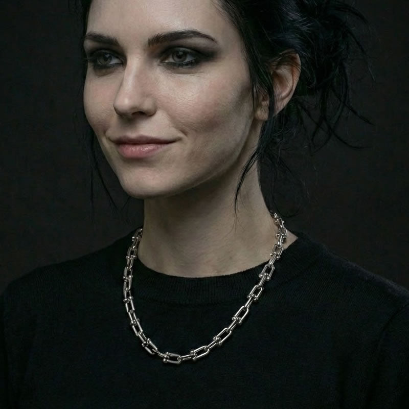 Stainless Steel Industrial Chain